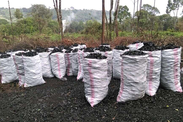Gulu district officials harvest big from illegal charcoal dealers
